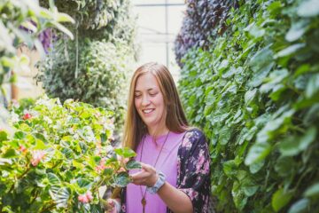 La-importancia-de-las-plantas-ornamentales