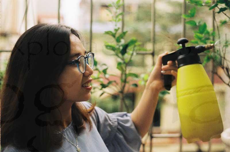 cuidar-plantas-ornamentales_el-riego