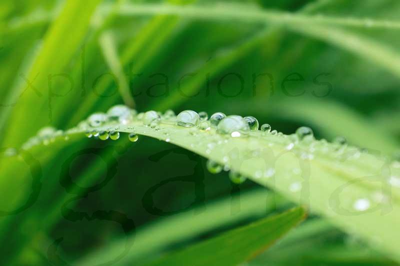 humedad-ambiental