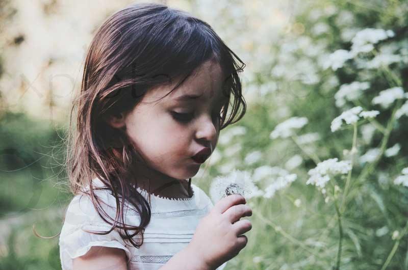 la-importancia-de-las-plantas-para-los-niños