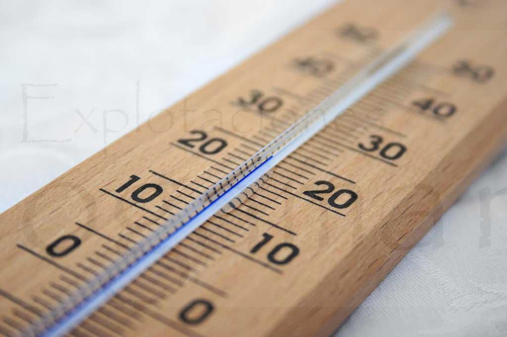 temperatura-para-plantas