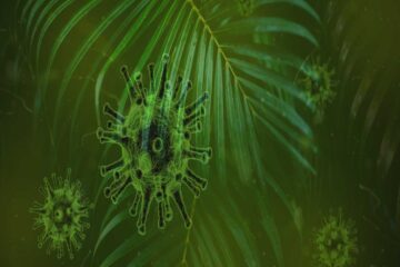 las plantas y el coronavirus