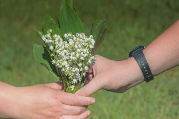 plantas-originales-para-regalar