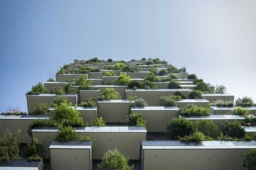 mejores-plantas-para-el-balcón