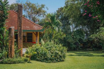 Mejores plantas para el jardín