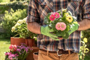 Consejos-de-jardinería-para-principiantes