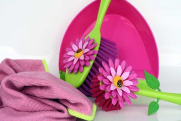 limpiar-las-plantas-de-interior