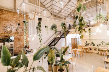 Ideas originales para decorar con plantas
