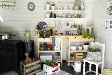 Mejores plantas de interior para la cocina