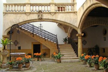 Plantas perfectas para patios y jardines