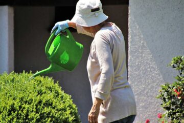 consejos-para-evitar-que-tus-plantas-se-sequen