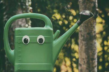 como-cuidar-tus-plantas-durante-las-vacaciones