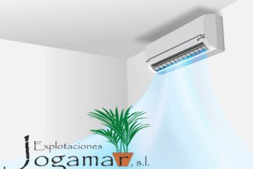 La-relación-entre-el-aire-acondicionado-y-las-plantas