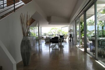 Las-mejores-plantas-grandes-de-interior