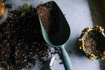 Herramientas básicas de jardinería