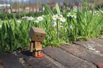 Utilidades-del-cartón-en-la-jardinería