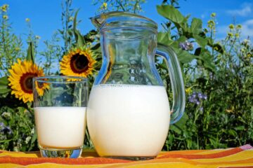 usos-de-la-leche-en-las-plantas-ornamentales