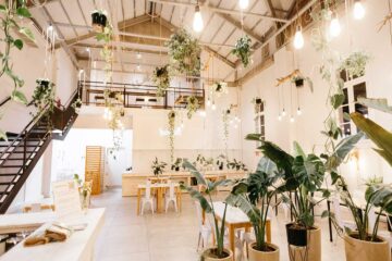 combina-tus-plantas-y-los-colores-de-tu-casa