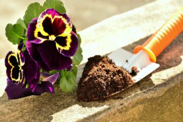 Productos-esenciales-para-el-cultivo-de-plantas-ornamentales