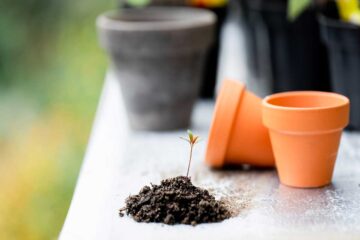 Proyectos-DIY-Hazlo-tú-mismo-de-jardinería