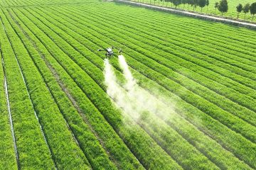 Guerra-a-la-araña-roja_Cómo-detectar-y-eliminar